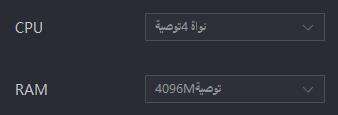 كيفية تكوين RAM وCPU