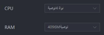 كيفية تكوين RAM وCPU