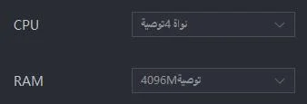 كيفية تكوين RAM وCPU