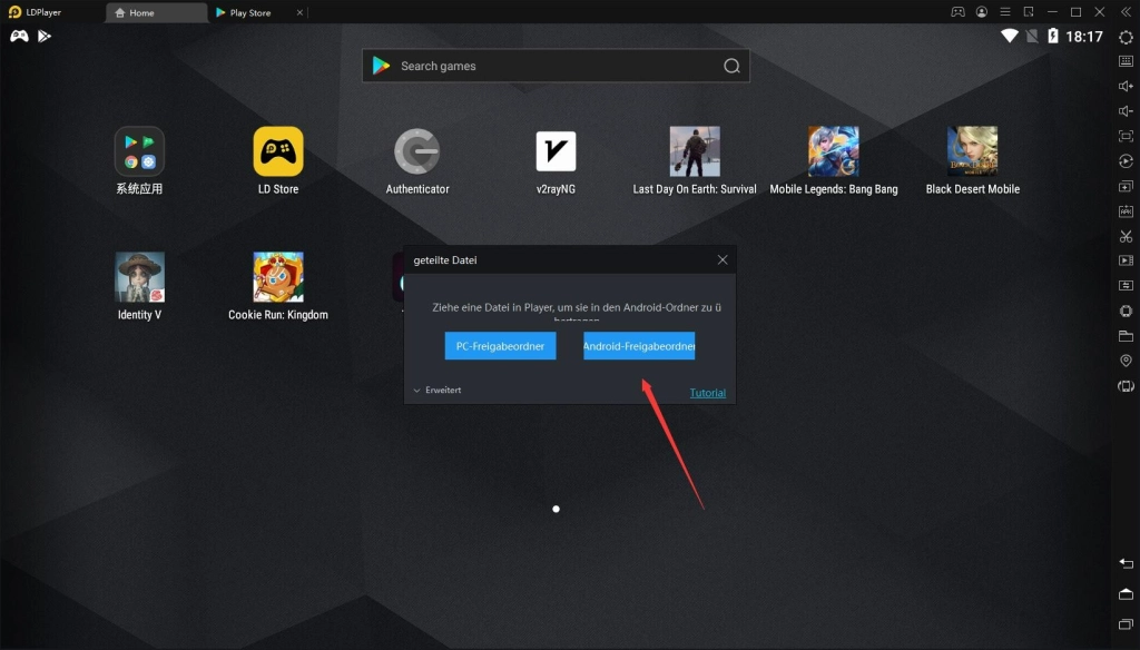 Wie kann man die Dateien zwischen LDPlayer und PC, Laptop übertragen?