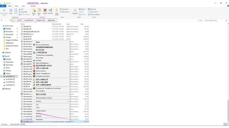 Was tun, wenn die LDPlayer VirtualBox das Windows 10 Update verhindert (20H2)