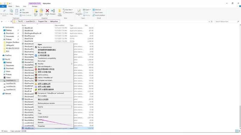 Was tun, wenn die LDPlayer VirtualBox das Windows 10 Update verhindert (20H2)