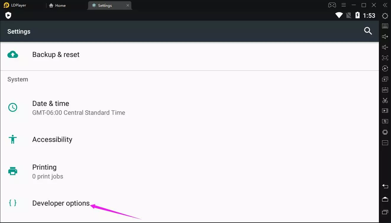 How to access developer option on LDPlayer