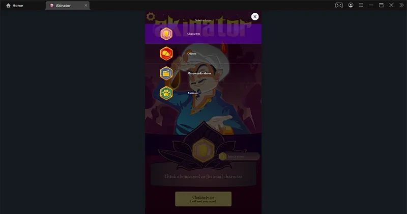 Ideas on challenging the Akinator the Genie