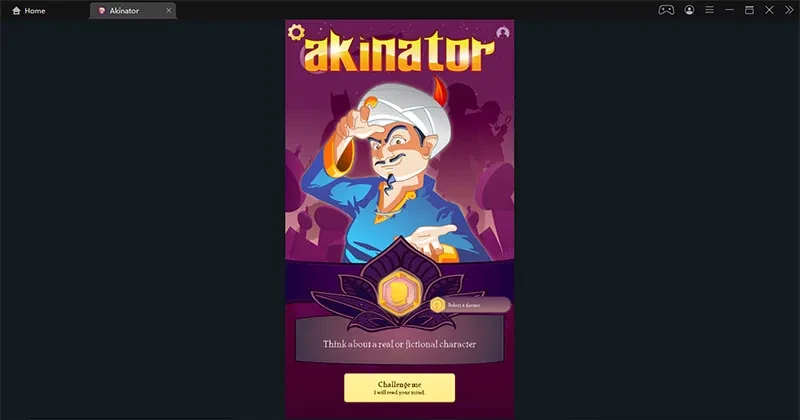 Ideas on challenging the Akinator the Genie