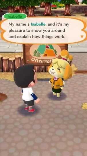 Animal Crossing: Pocket Camp Visuals