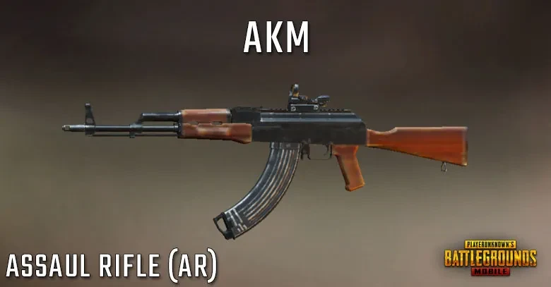 PUBG Tier List AKM