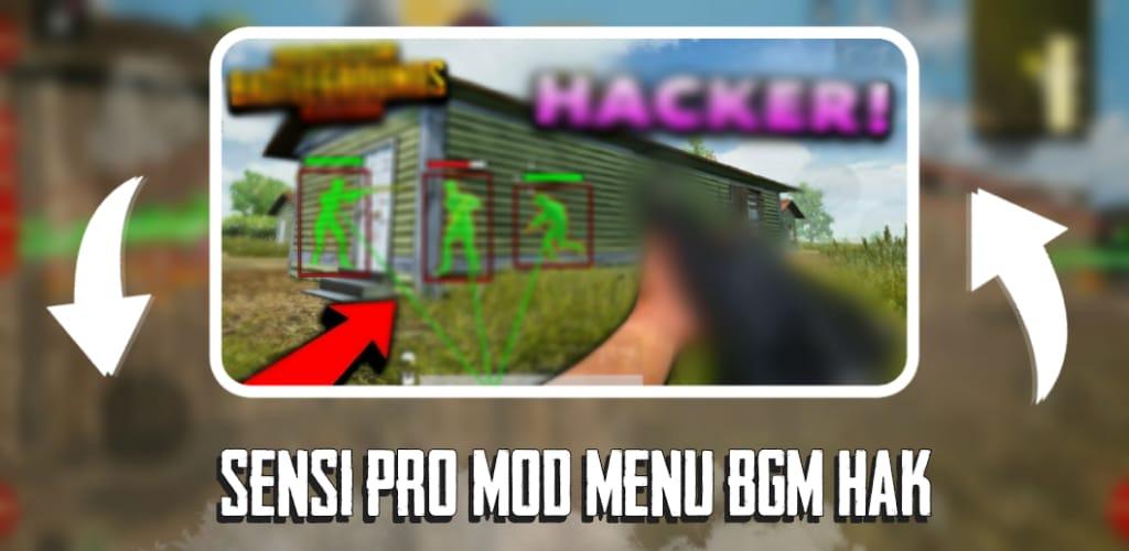 BGI HECKKING ESP GFX MOD MENU