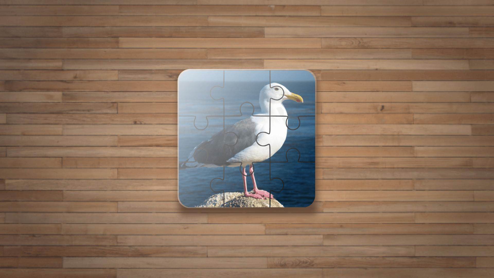 Bird Puzzle Games