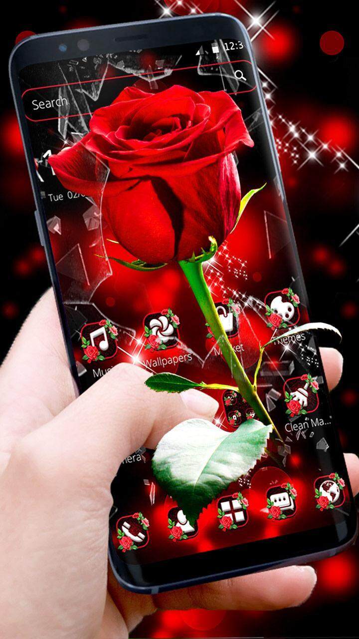 Broken Glass Beautiful Red Rose Theme