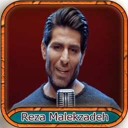 آهنگ  رضا ملک زاده