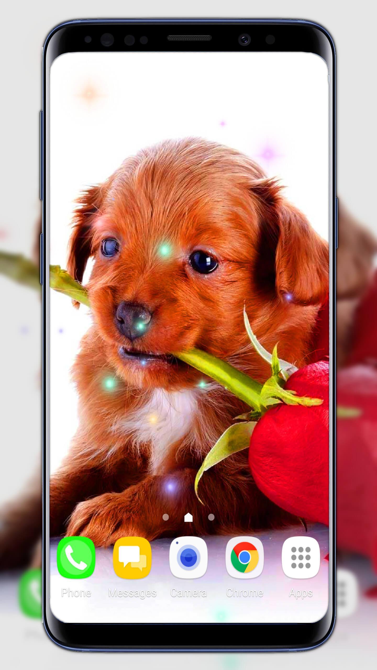 Cute Puppies Live Wallpaper