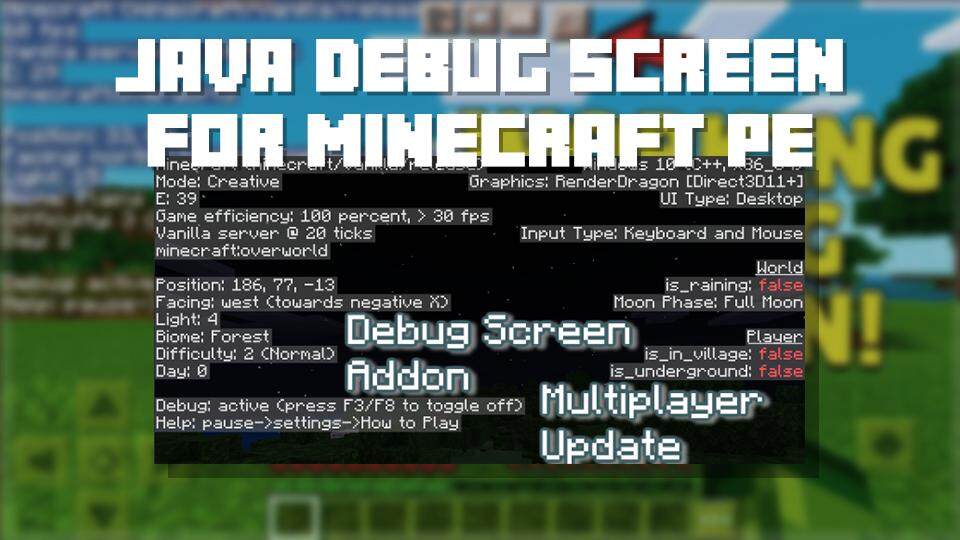 Java Debug Screen Addon F3