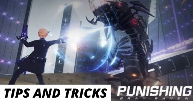 Punishing Gray Raven Tips, Tricks and Strategies to Play with LDPlayer