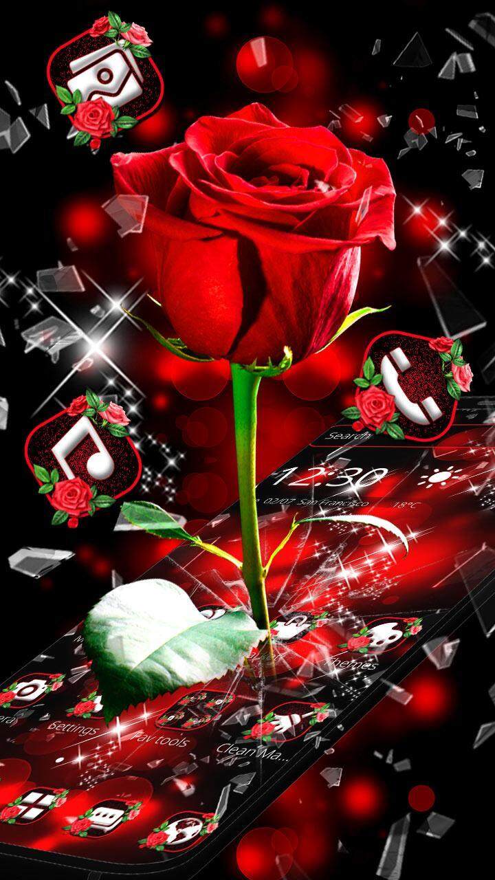 Broken Glass Beautiful Red Rose Theme