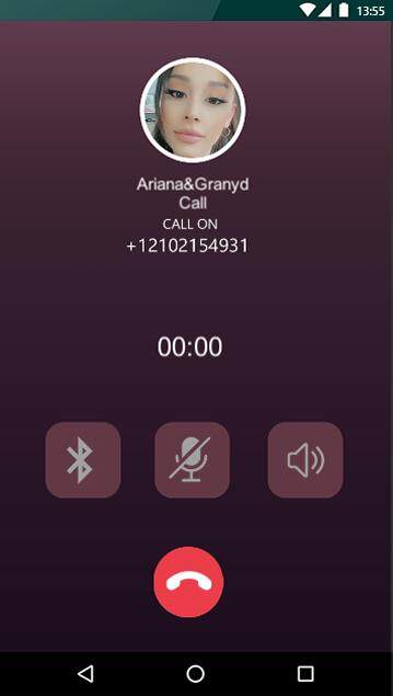 Ariana Grande VCall& Fake Chat