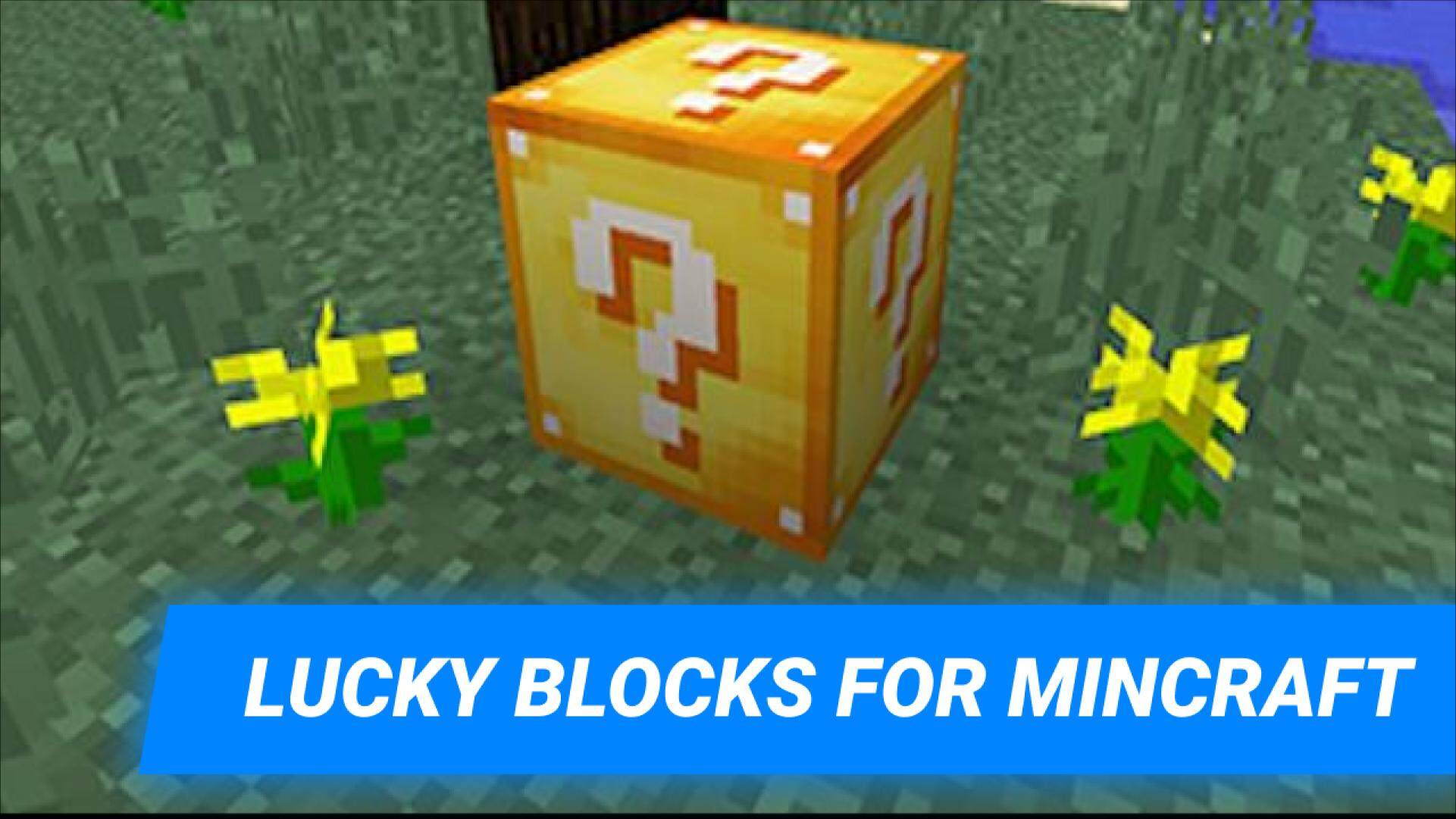 Lucky Block mod for MCPE