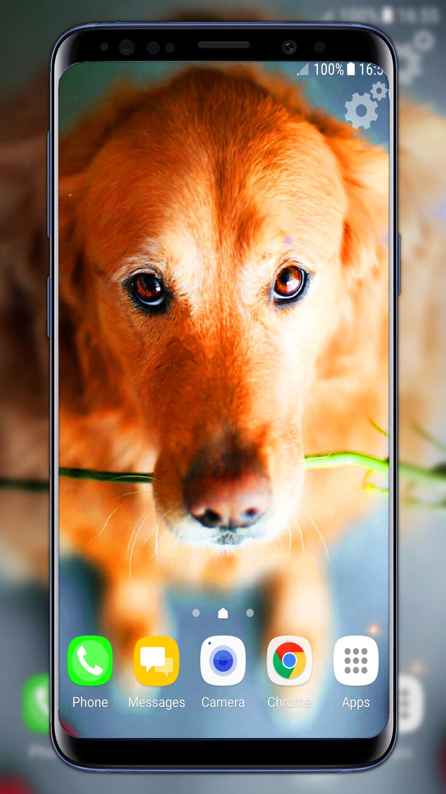 Cute Puppies Live Wallpaper