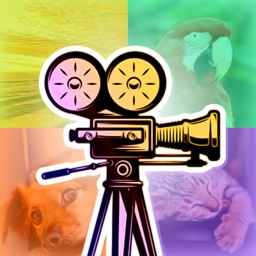 Animals & nature video puzzle