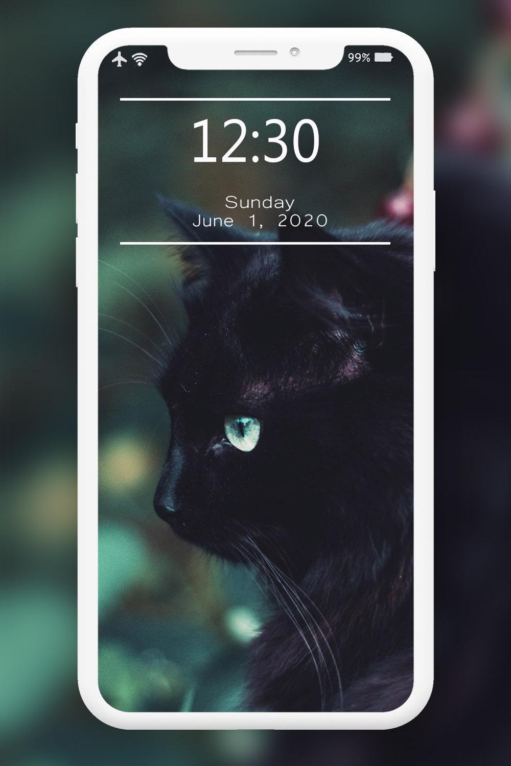 Cutest Cats Wallpaper