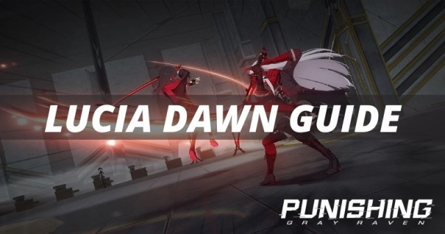 Punishing Gray Raven Lucia Dawn Pull/Build Recommendations
