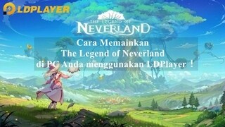 Cara Memainkan The Legend of Neverland di PC Anda menggunakan LDPlayer！