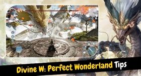 Divine W: Perfect Wonderland Tips for a Better Gameplay