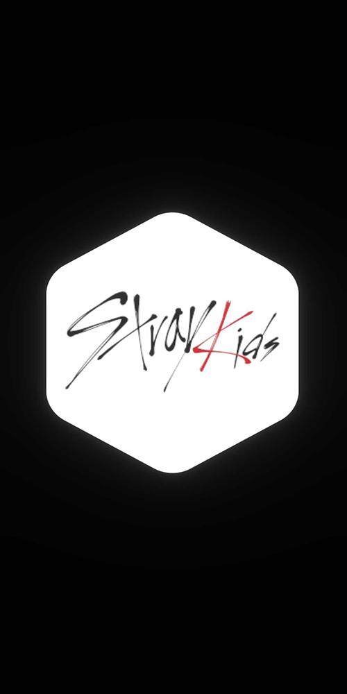 Stray Kids AR