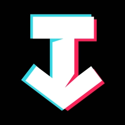 SSSTik video downloader for TT