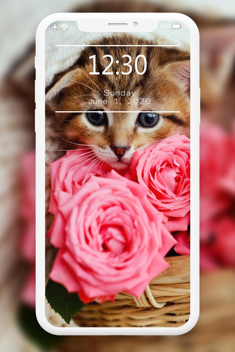 Cutest Cats Wallpaper