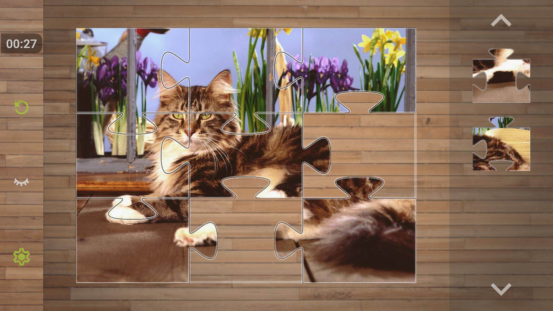 Cat Puzzle Game