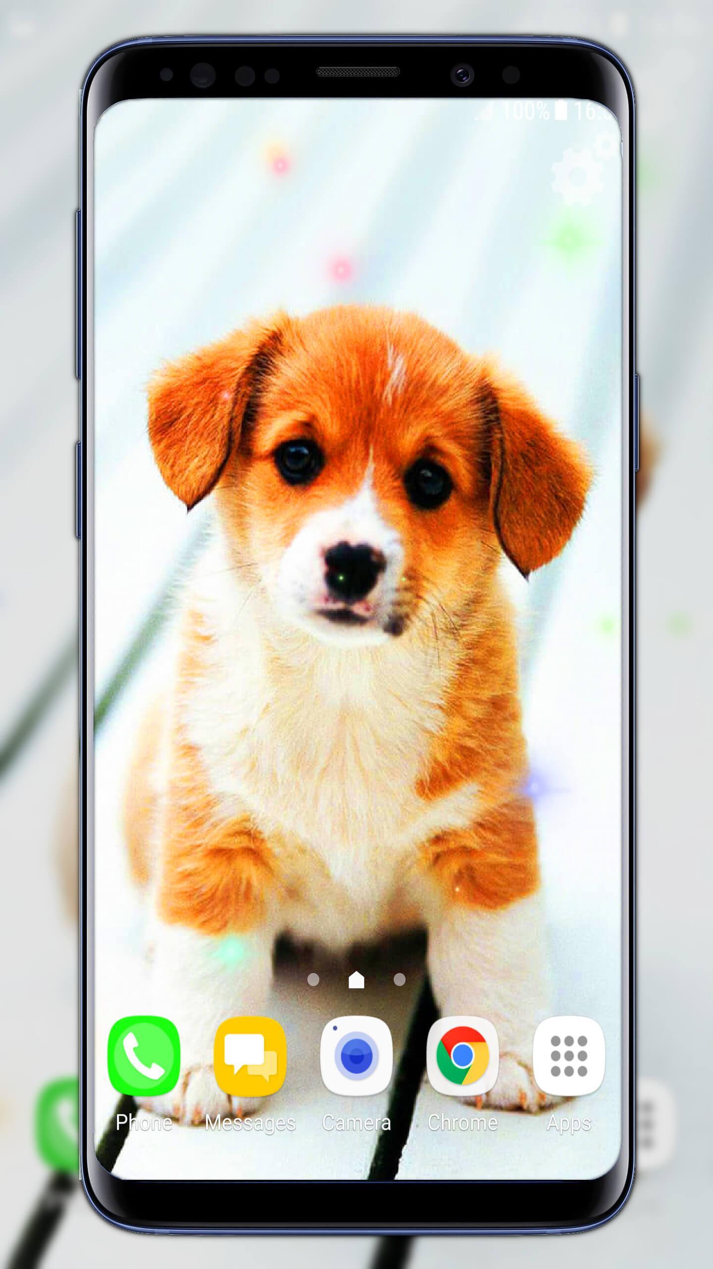 Cute Puppies Live Wallpaper