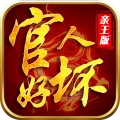 官人好壞親王版