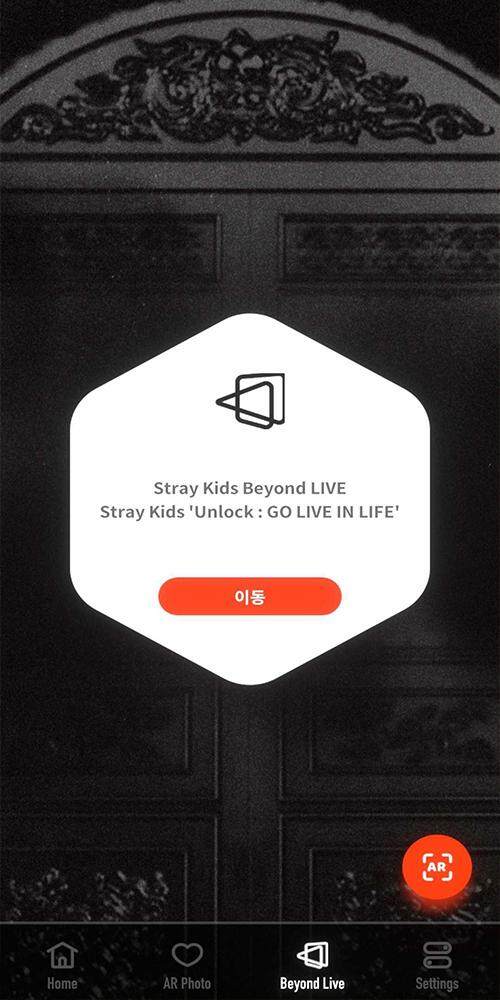 Stray Kids AR