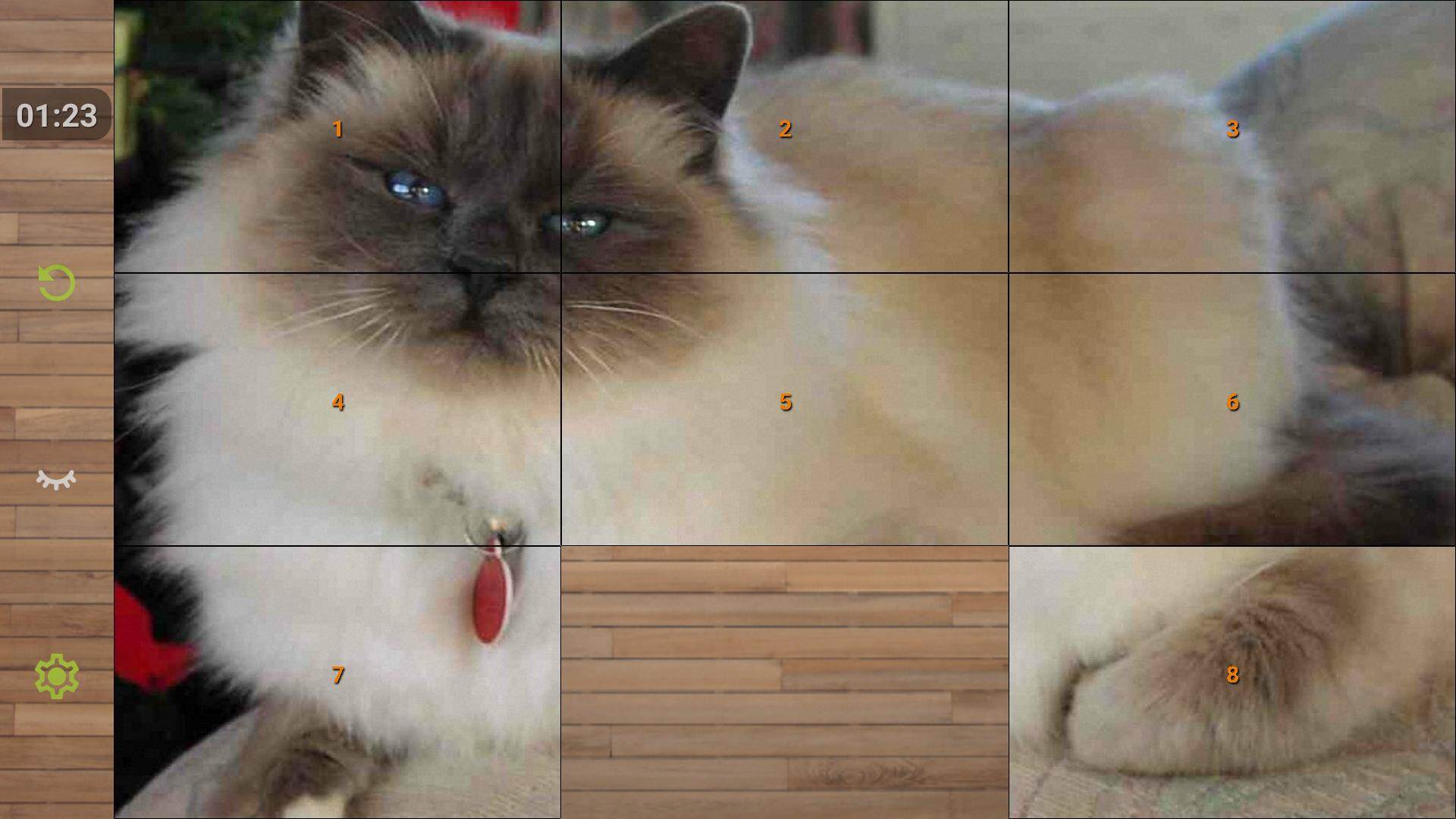 Cat Puzzle Game