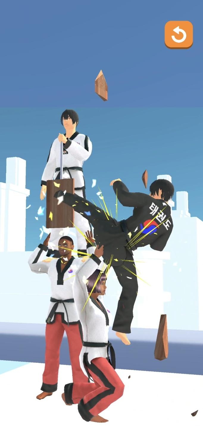 Taekwondo