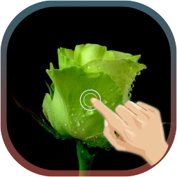 Love Rose Wave livewallpaper