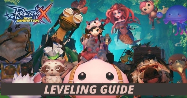 Ragnarok X Next Generation Leveling Up Guide and How To Farm?