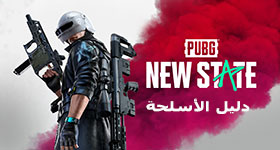 دليل الأسلحة في ببجي : نيو ستيت 