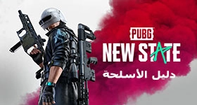 دليل الأسلحة في ببجي : نيو ستيت 