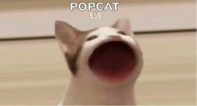 วิธีเล่น PopCat  แบบคลิกอัตโนมัติบน PC