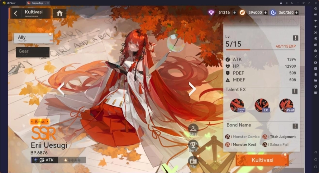 Karakter Attacker Dragon Raja: ReRise  Erii