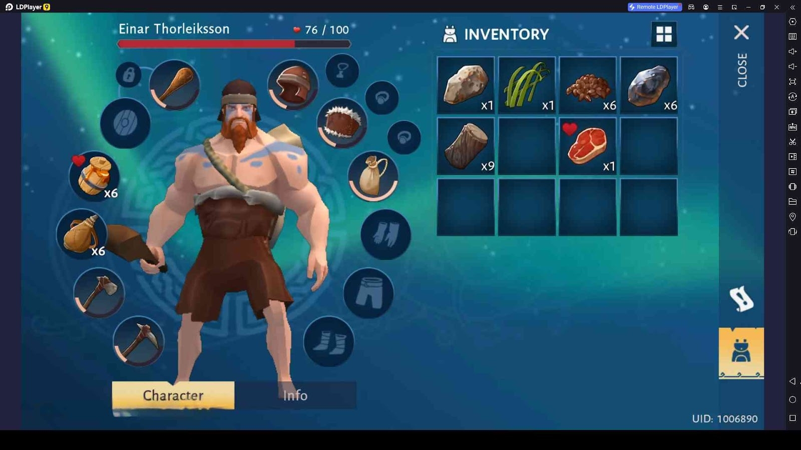 Check the Inventory and Use the Items