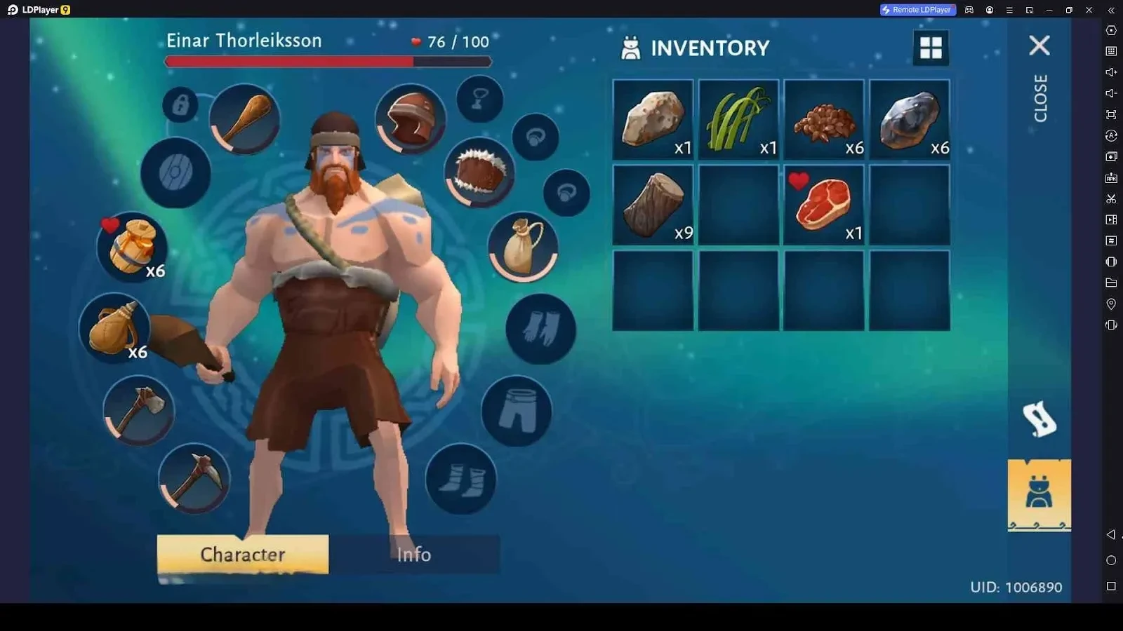 Check the Inventory and Use the Items