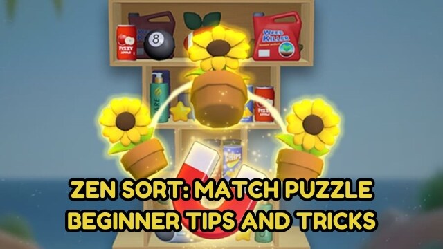 Solving Puzzles with Zen Sort: Match Puzzle Beginner Tips and Tricks
