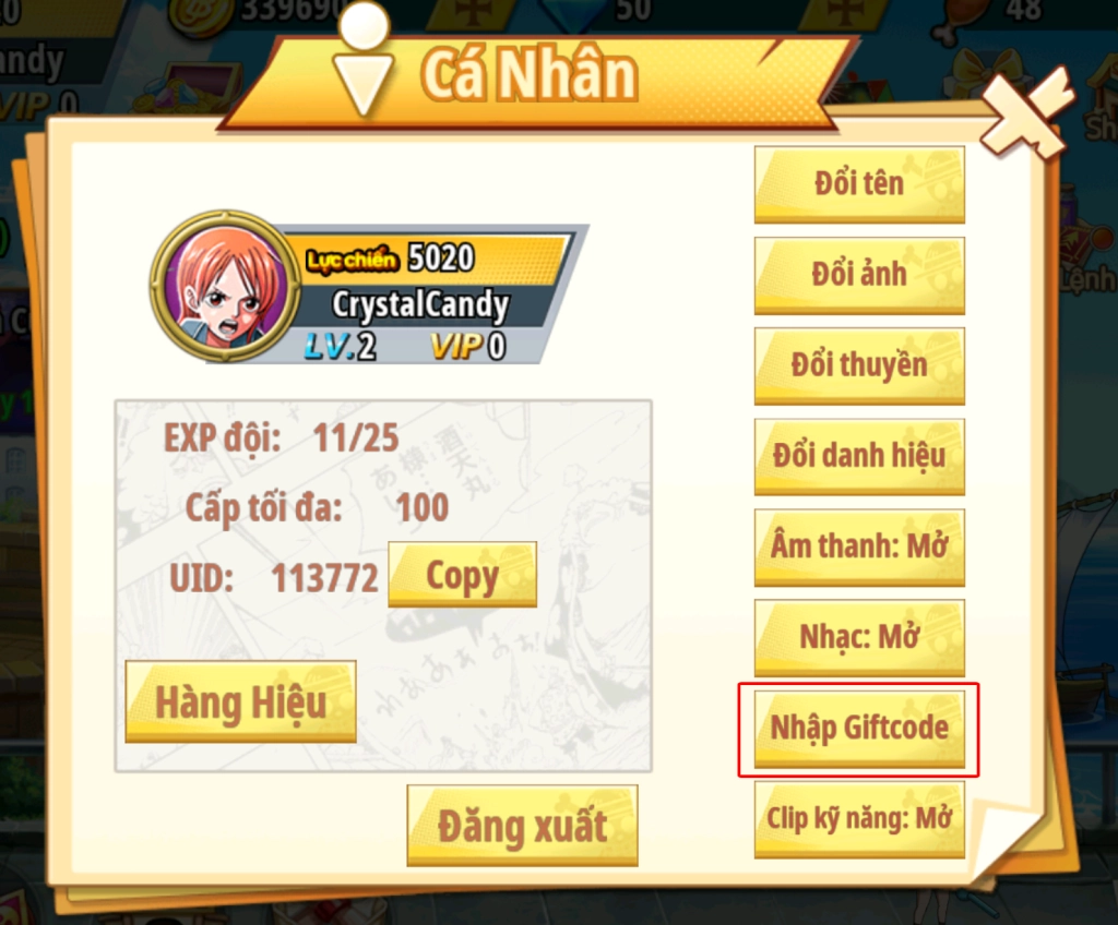 Full bộ code Thế Giới Hải Tặc mới nhất - Hướng dẫn cách nhập chi tiết