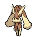 長耳兔