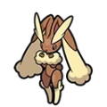 長耳兔