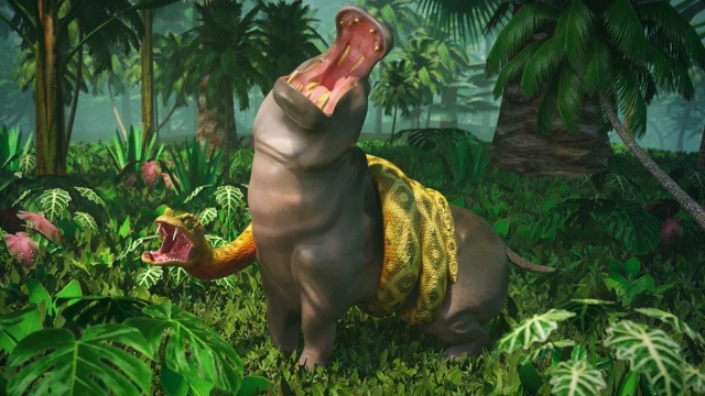 Zoo City Codes- June 2025