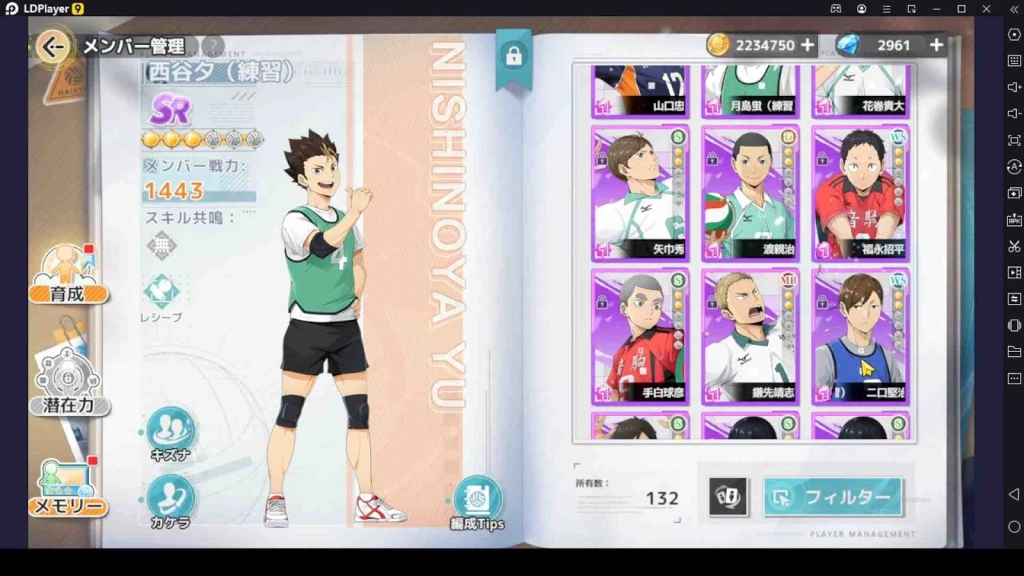 Haikyuu!! Fly High Team Building Guide for All New Players